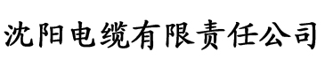 老卫淑容电缆厂logo